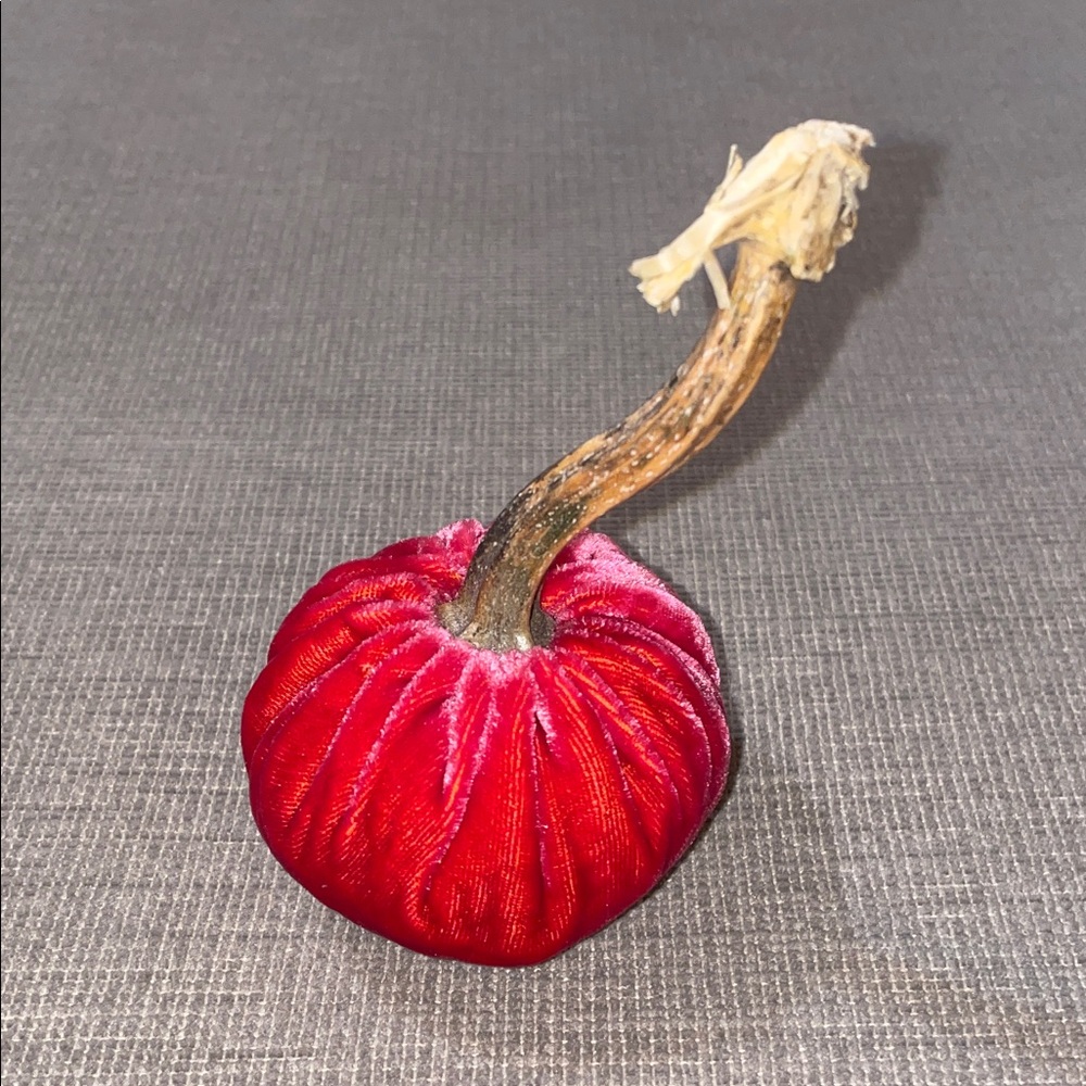 Hot Skwash Pink Velvet Pumpkin with Natural Stem